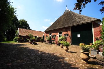 IMG02.jpg